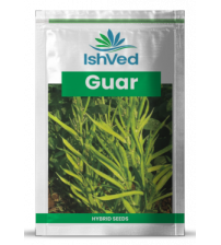 Clusterbean / Guar IVTMP-03 250 grams